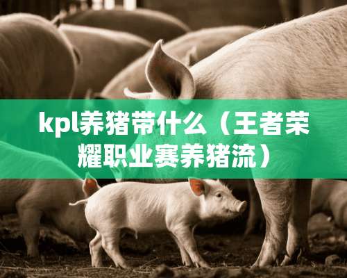 kpl养猪带什么（王者荣耀职业赛养猪流）