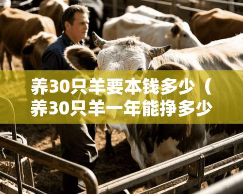 养30只羊要本钱多少（养30只羊一年能挣多少钱）