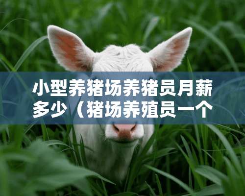 小型养猪场养猪员月薪多少（猪场养殖员一个月多少工资）