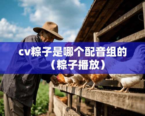 cv粽子是哪个配音组的（粽子播放）