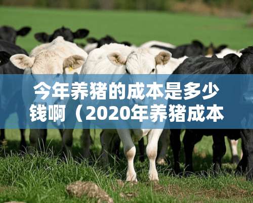 今年养猪的成本是多少钱啊（2020年养猪成本多少一斤）