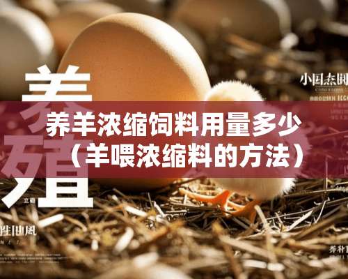 养羊浓缩饲料用量多少（羊喂浓缩料的方法）