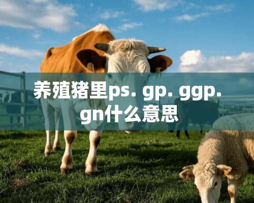 养殖猪里ps. gp. ggp. gn什么意思