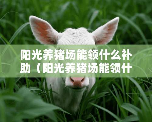 阳光养猪场能领什么补助（阳光养猪场能领什么补助金）