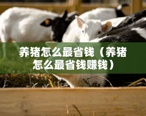 养猪怎么最省钱（养猪怎么最省钱赚钱）