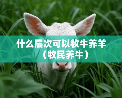 什么层次可以牧牛养羊（牧民养牛）