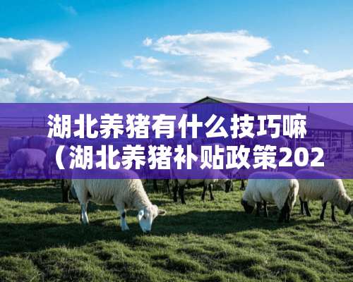 湖北养猪有什么技巧嘛（湖北养猪补贴政策2021标准）