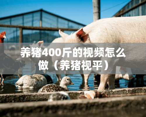 养猪400斤的视频怎么做（养猪视平）