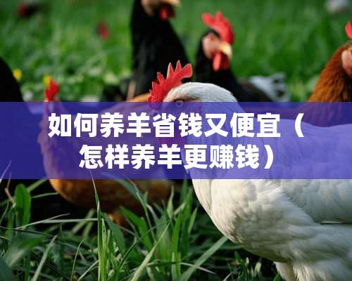 如何养羊省钱又便宜（怎样养羊更赚钱）