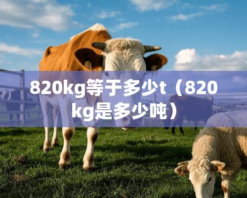 820kg等于多少t（820kg是多少吨）