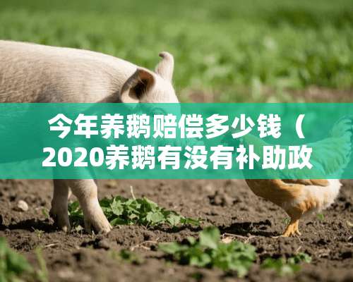 今年养鹅赔偿多少钱（2020养鹅有没有补助政策）