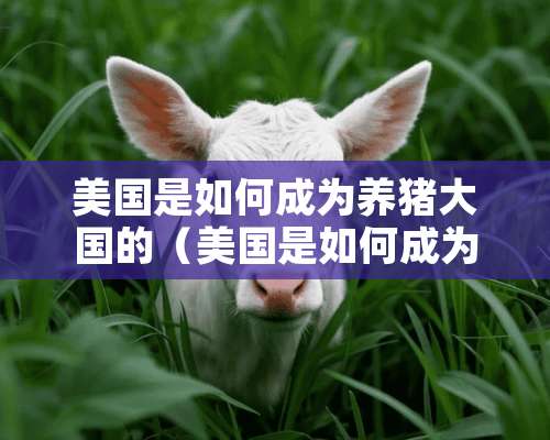 美国是如何成为养猪大国的（美国是如何成为养猪大国的呢）