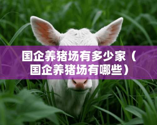 国企养猪场有多少家（国企养猪场有哪些）