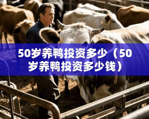 50岁养鸭投资多少（50岁养鸭投资多少钱）