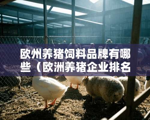 欧州养猪饲料品牌有哪些（欧洲养猪企业排名榜）