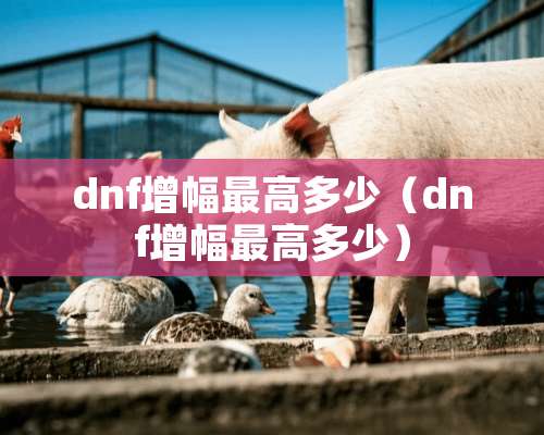 dnf增幅最高多少（dnf增幅最高多少）