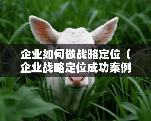 企业如何做战略定位（企业战略定位成功案例）