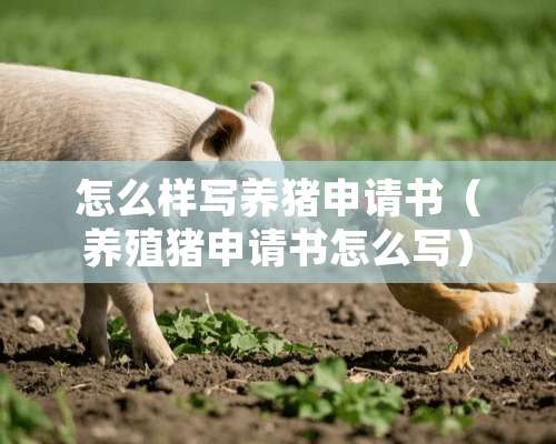 怎么样写养猪申请书（养殖猪申请书怎么写）