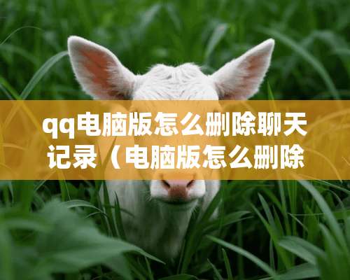 qq电脑版怎么删除聊天记录（电脑版怎么删除聊天列表）