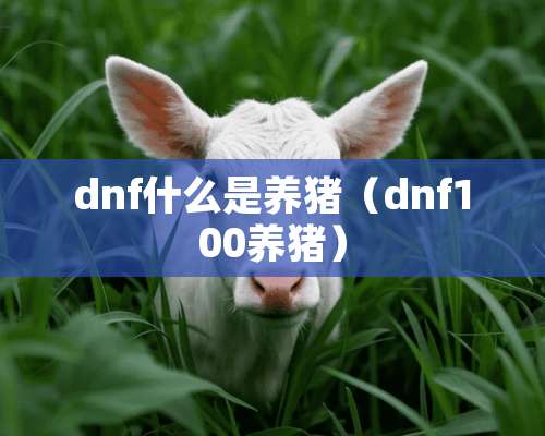 dnf什么是养猪（dnf100养猪）