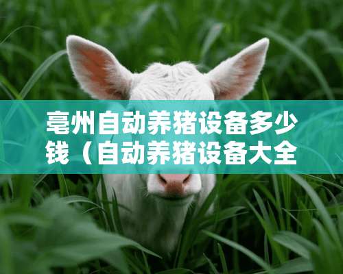 亳州自动养猪设备多少钱（自动养猪设备大全）