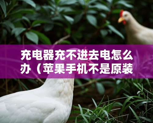 充电器充不进去电怎么办（苹果手机不是原装充电器充不进去电怎么办）