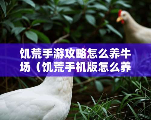 饥荒手游攻略怎么养牛场（饥荒手机版怎么养牛）