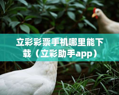 立彩**手机哪里能下载（立彩助手app）