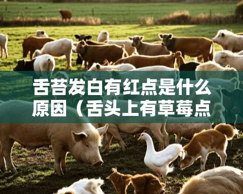 舌苔发白有红点是什么原因（舌头上有草莓点是肝火大吗）