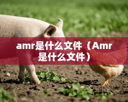 amr是什么文件（Amr是什么文件）