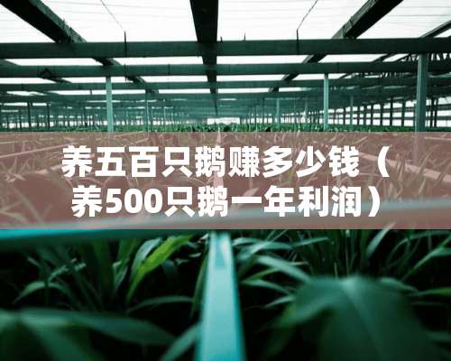 养五百只鹅赚多少钱（养500只鹅一年利润）