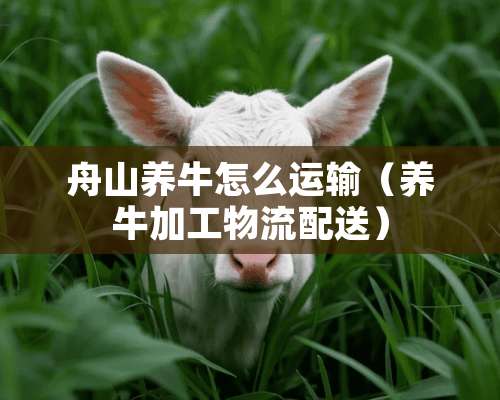 舟山养牛怎么运输（养牛加工物流配送）