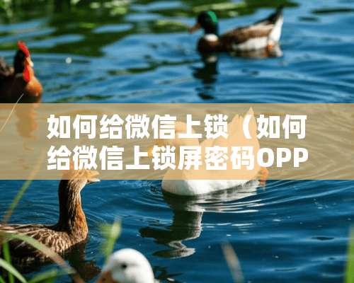 如何给微信上锁（如何给微信上锁屏密码OPPO）