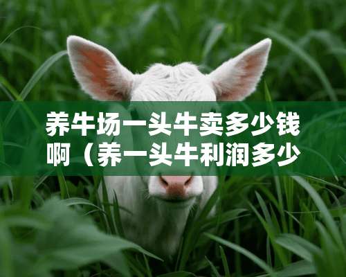 养牛场一头牛卖多少钱啊（养一头牛利润多少）