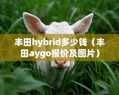 丰田hybrid多少钱（丰田aygo报价及图片）