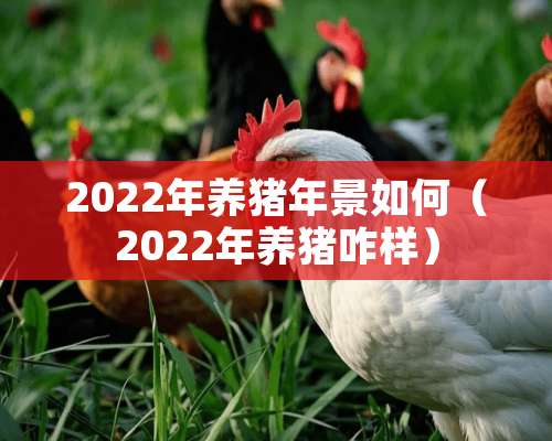 2022年养猪年景如何（2022年养猪咋样）