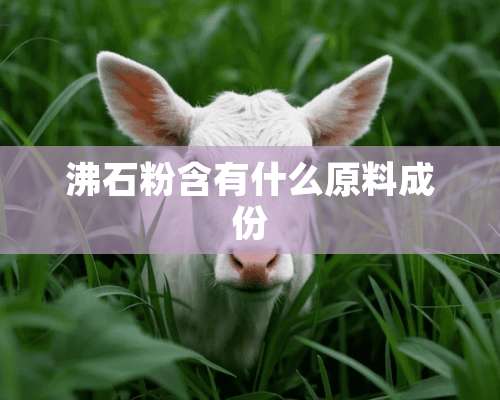 沸石粉含有什么原料成份