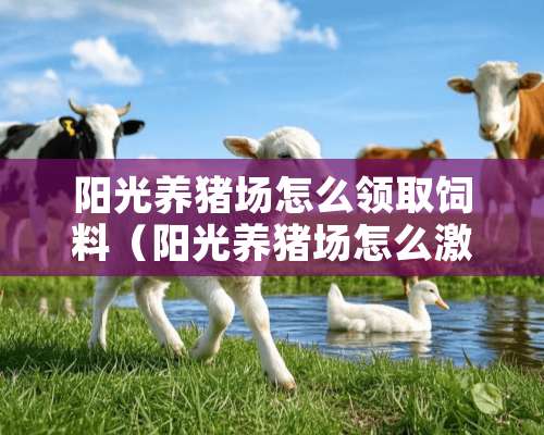 阳光养猪场怎么领取饲料（阳光养猪场怎么激活）