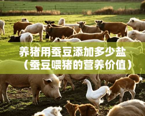 养猪用蚕豆添加多少盐（蚕豆喂猪的营养价值）