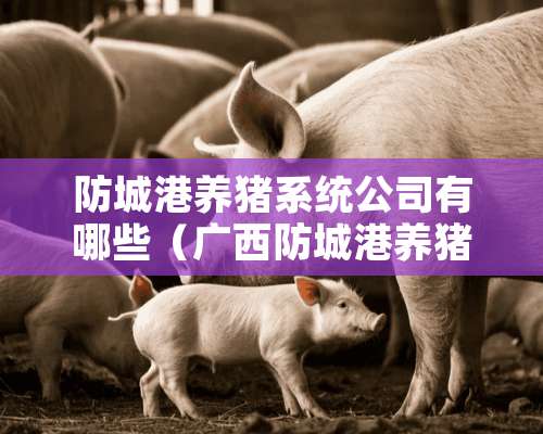 防城港养猪系统公司有哪些（广西防城港养猪场）