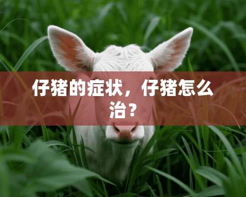 仔猪的症状，仔猪怎么治？