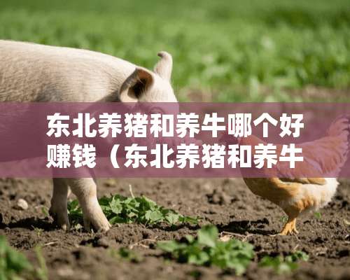 东北养猪和养牛哪个好赚钱（东北养猪和养牛哪个好赚钱一点）