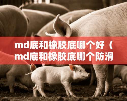 md底和橡胶底哪个好（md底和橡胶底哪个防滑）