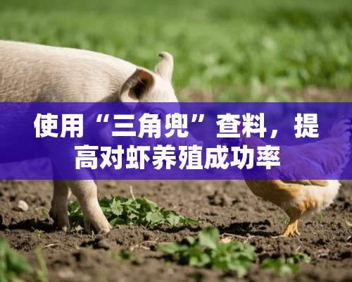 使用“三角兜”查料，提高对虾养殖成功率