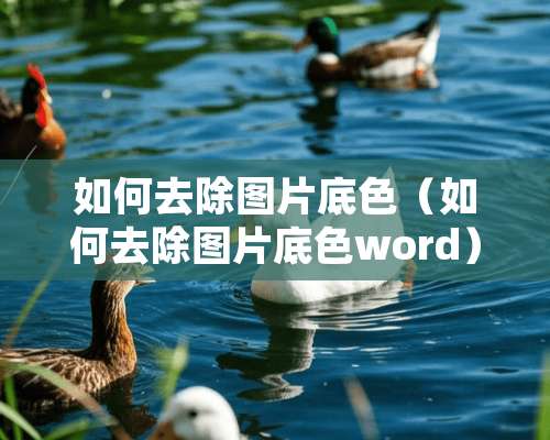 如何去除图片底色（如何去除图片底色word）