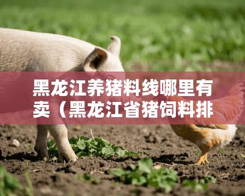 黑龙江养猪料线哪里有卖（黑龙江省猪饲料排行榜）