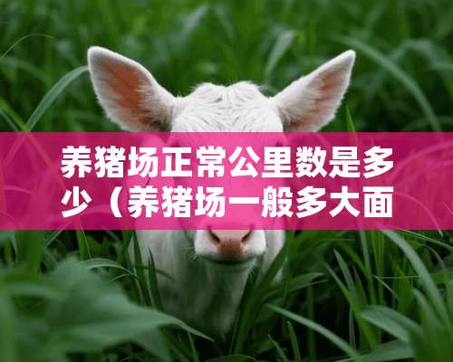 养猪场正常公里数是多少（养猪场一般多大面积）