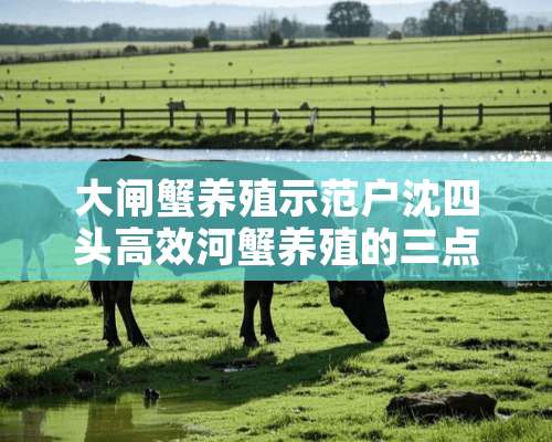 大闸蟹养殖示范户沈四头高效河蟹养殖的三点想法