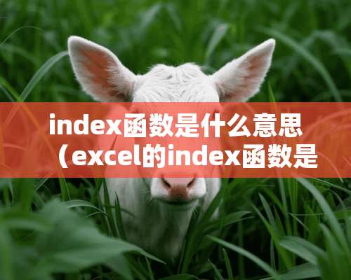 index函数是什么意思（excel的index函数是什么意思）