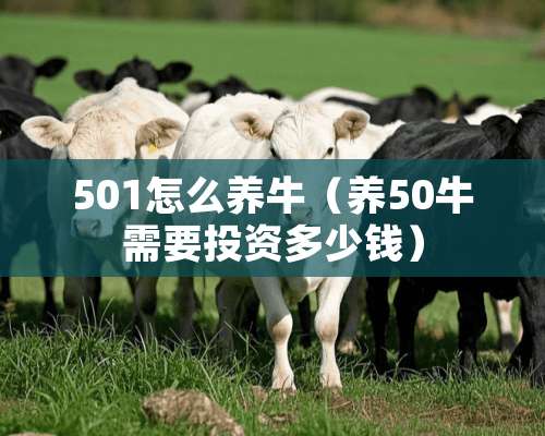 501怎么养牛（养50牛需要投资多少钱）